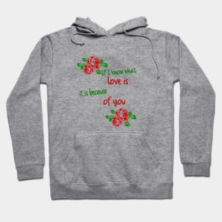 if i know what love is it is because of you Hoodie